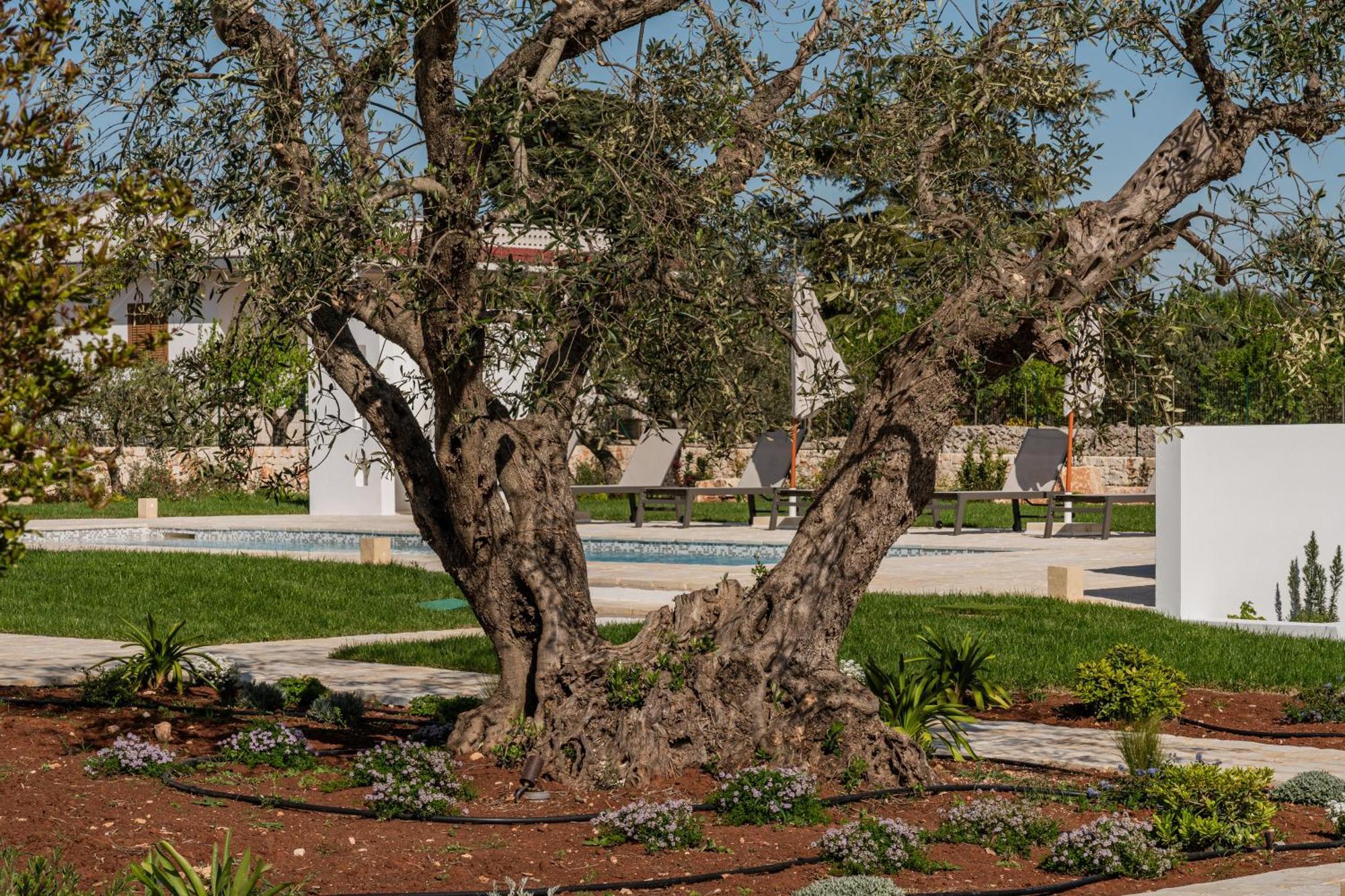 Trullo Jale - Boutique Apartments Ostuni Dış mekan fotoğraf